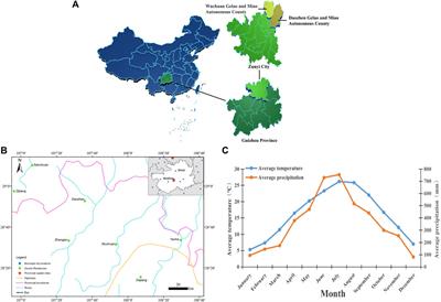 An ethnobotanical study on the medicinal herb practices of the gelao ethnic minority in North Guizhou, China: an exploration of traditional knowledge